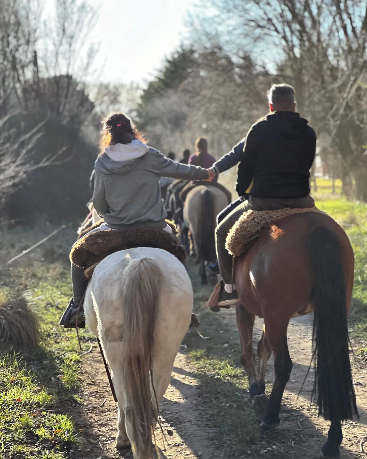 Campo Equino, qué hacer en Cabalgatas